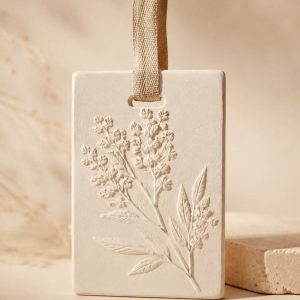 Wardrobe Plaster Tablet